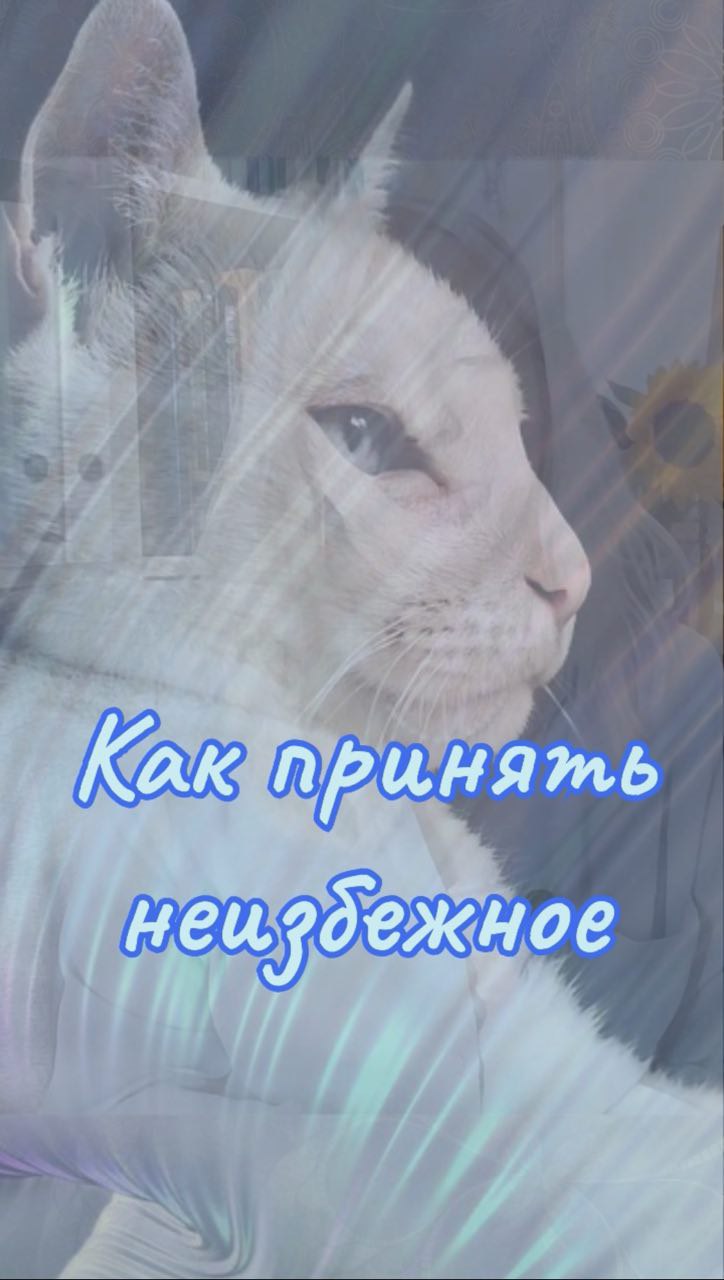 Евгения Камышева