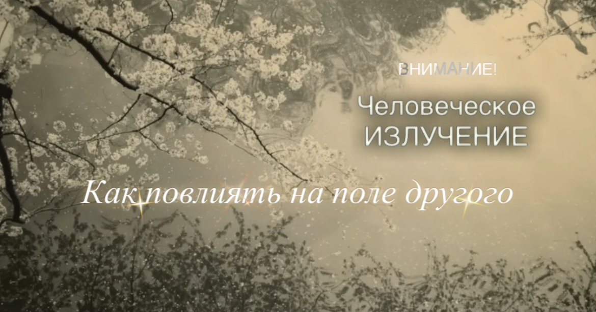Евгения Камышева